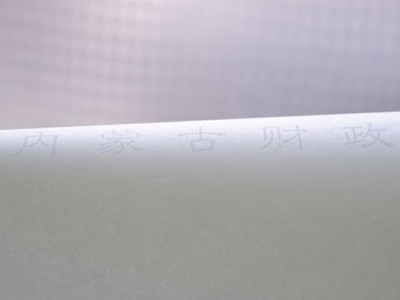 双彩图案防伪（一、二 线防伪）图1